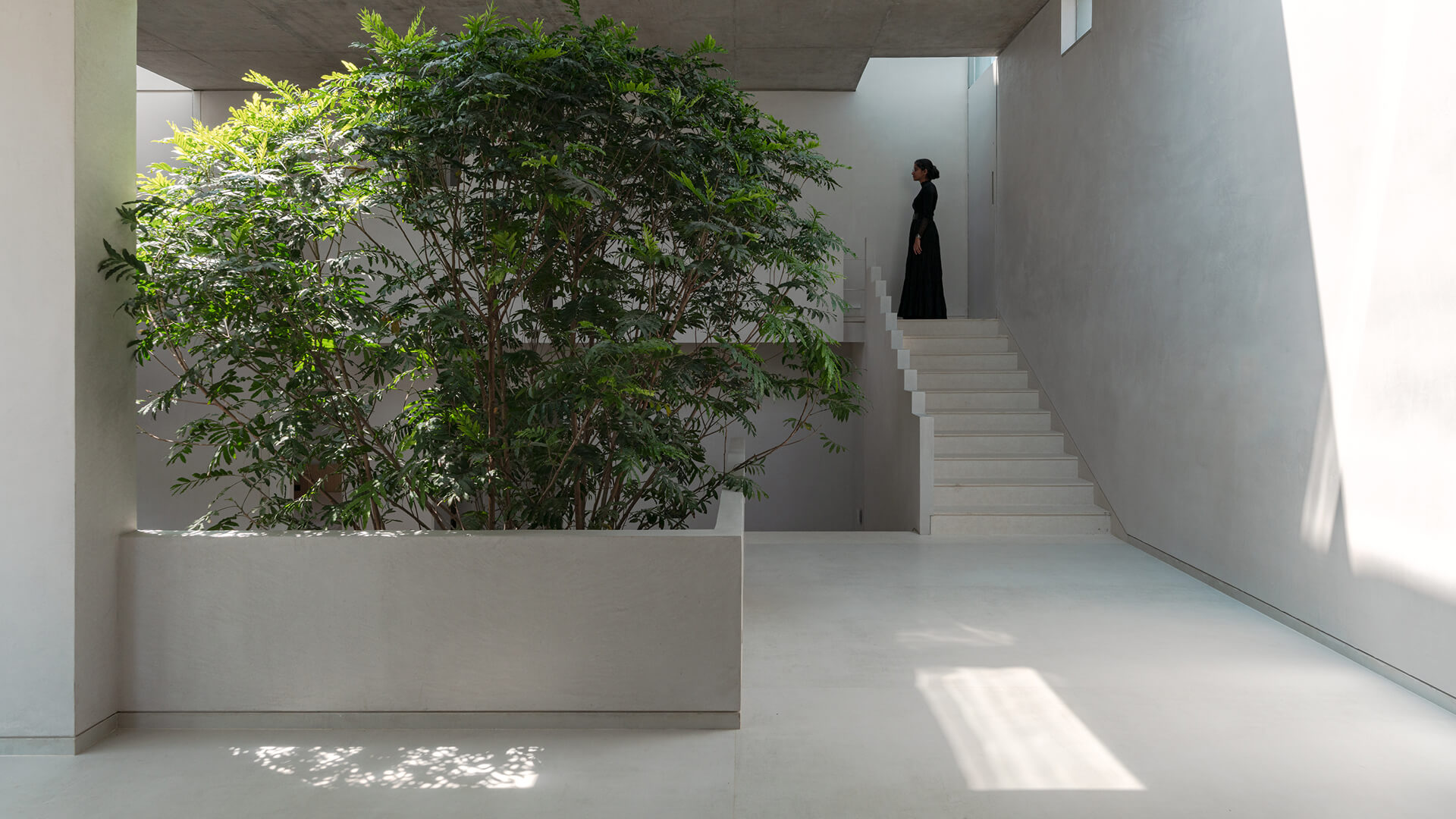 Monolithic architecture example: Stepwell House